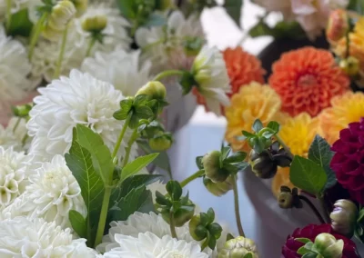 Up close view of florals grown by Winters Farm Florals in Maryland