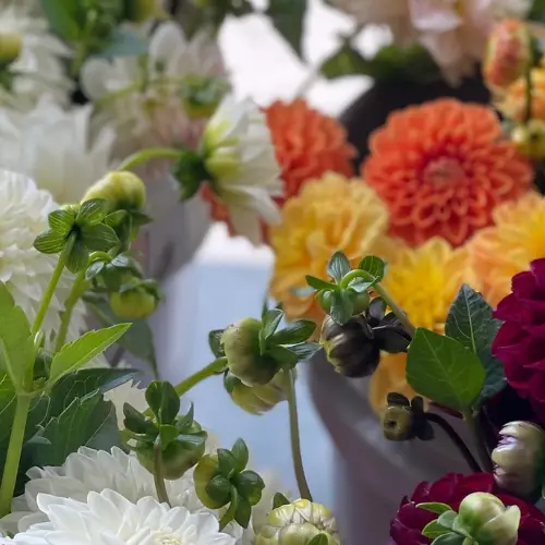 Up close view of orange, yellow and white flowers by Winters Farm Florals