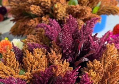 Fall Amaranth Harvest at Winters Farm